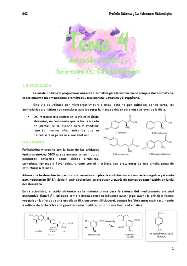 Miniatura del documento Tema-4-Aminoacidos-aromaticos-y-fenilpropanoides-Ruta-del-Shikimiko.pdf