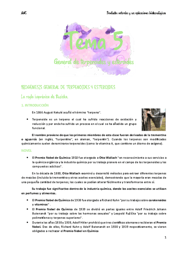 Miniatura del documento Tema-5-Terpenos.pdf