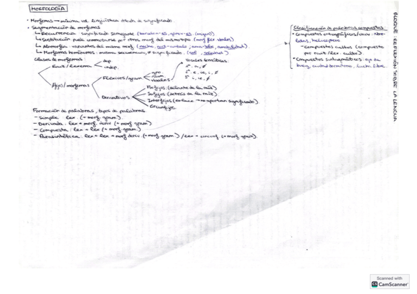Miniatura del documento Esquema-morfologia.pdf