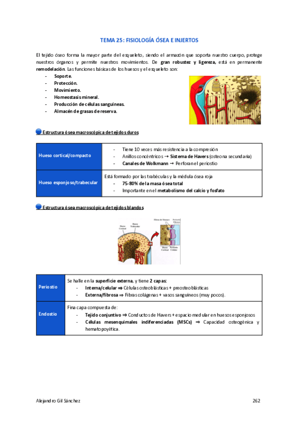 Miniatura del documento TEMA-25-PERIO.pdf
