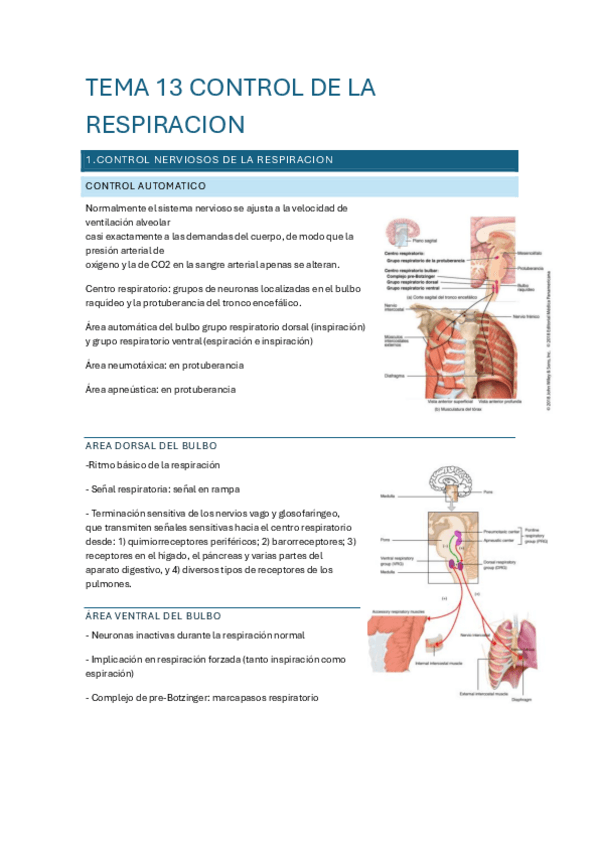 Miniatura del documento TEMA-13.pdf