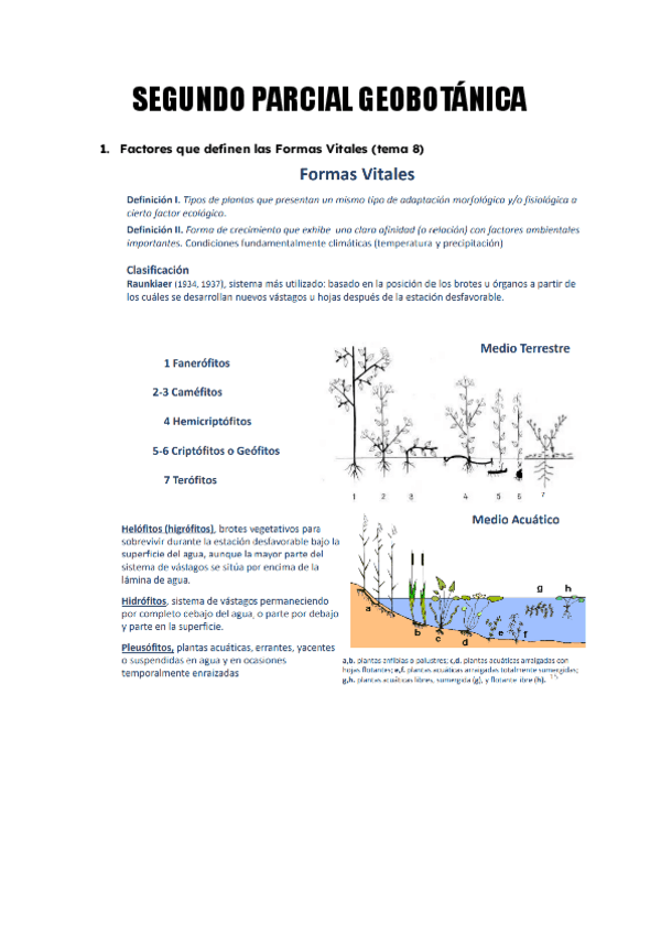 Miniatura del documento 2o-PARCIAL-GEOBOTANICA-202425.pdf