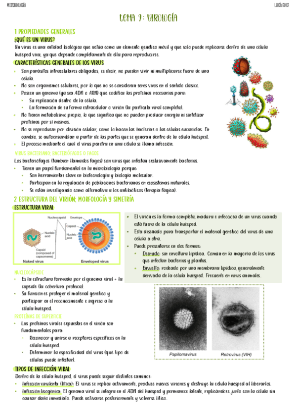 Miniatura del documento tema-9-micro.pdf