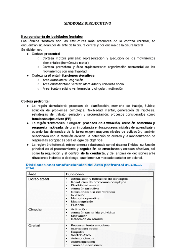 Miniatura del documento t4-sindrome-disejecutivo.pdf