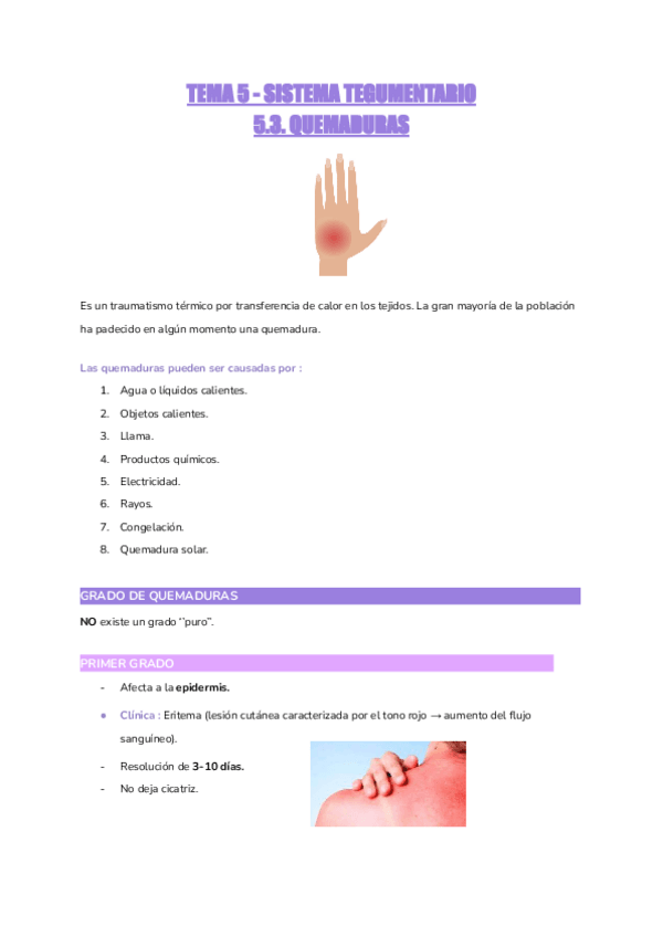Miniatura del documento TEMA-5.3.-SISTEMA-TEGUMENTARIO-QUEMADURAS.pdf