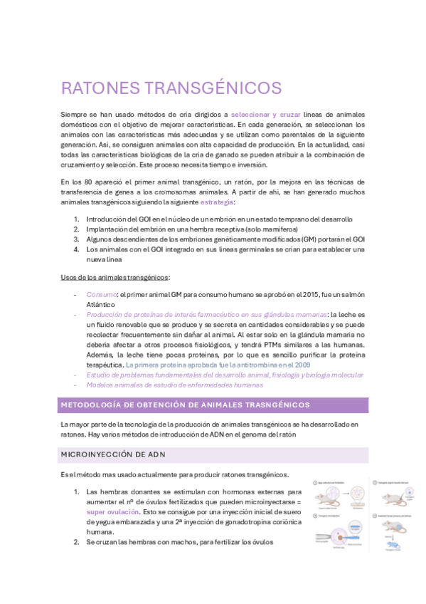 Miniatura del documento Tema-11-12.pdf