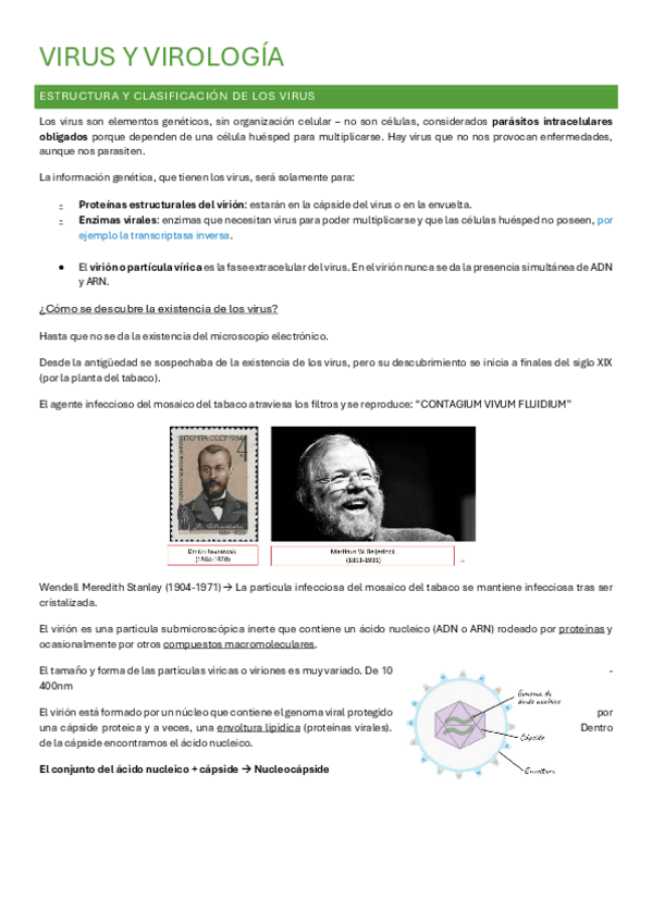 Miniatura del documento VIRUS-Y-VIROLOGIA.pdf