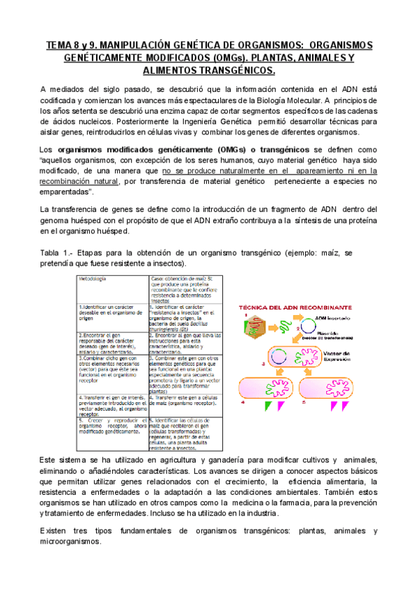 Miniatura del documento TEMA-8-y-9.-Manipulacion-genetica-de-organismos.-Organismos-geneticamente-modificados-OMGs.-Plantas-animales-y-alimentos-transgenicos.pdf