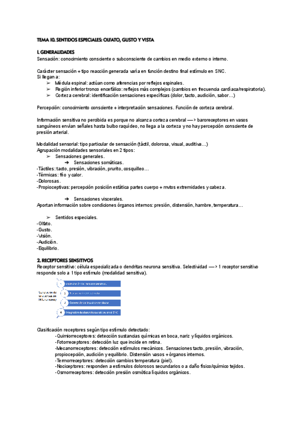 Miniatura del documento FISIOLOGIA-TEMA-10.-SENTIDOS-ESPECIALES.pdf