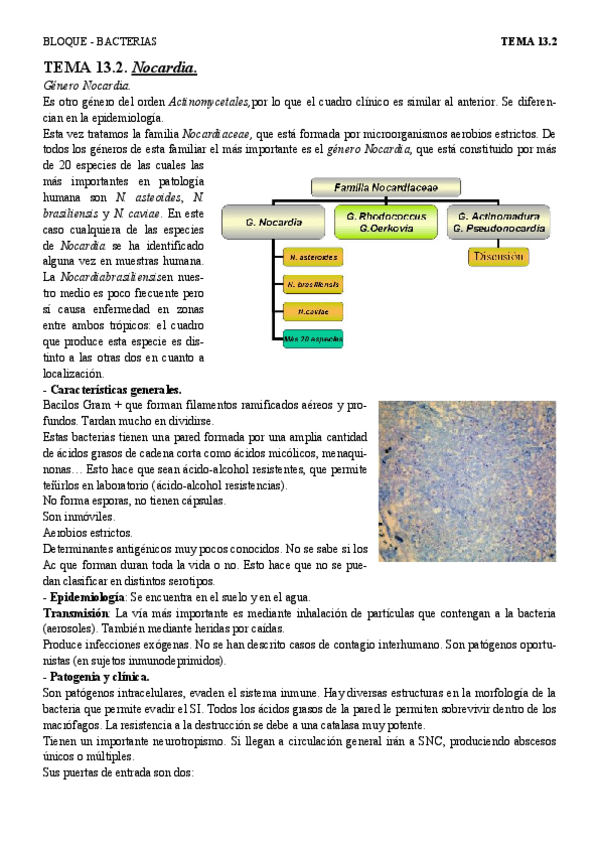 Miniatura del documento T13.2 - Nocardia.pdf