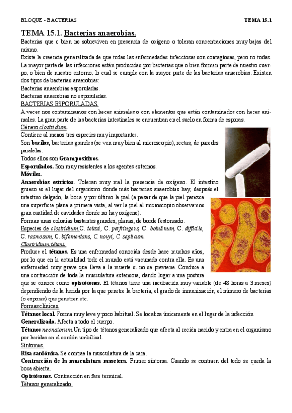 Miniatura del documento T15.1 - anaerobias esporuladas.pdf