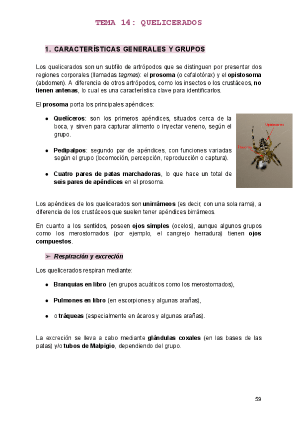 Miniatura del documento TEMA-14.pdf
