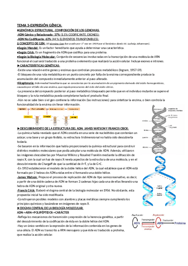 Miniatura del documento Tema_3-_genII.pdf