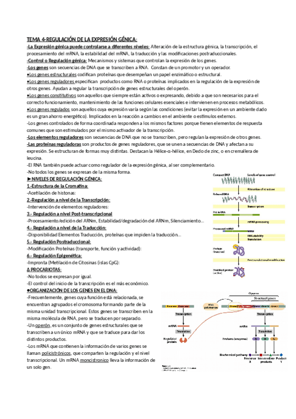 Miniatura del documento Tema_4-_genII.pdf