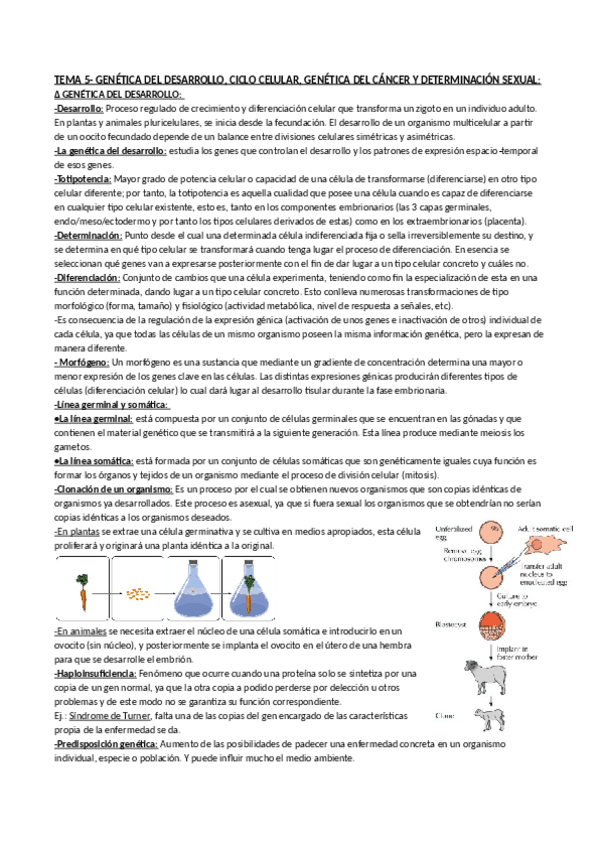 Miniatura del documento Tema_5-genII.pdf