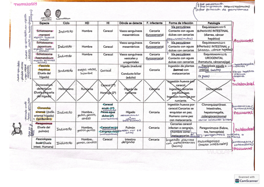 Miniatura del documento parasitologia-2oparcial.pdf