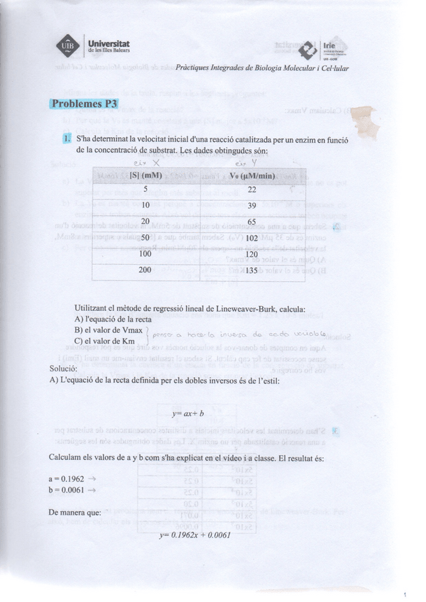 Miniatura del documento Ejercicios-resueltos-Practica-3.pdf