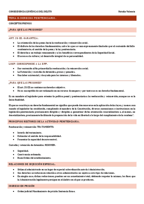 Miniatura del documento Tema-8-Consecuencias-Juridicas.pdf