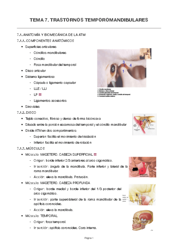 Miniatura del documento Tema-7.pdf