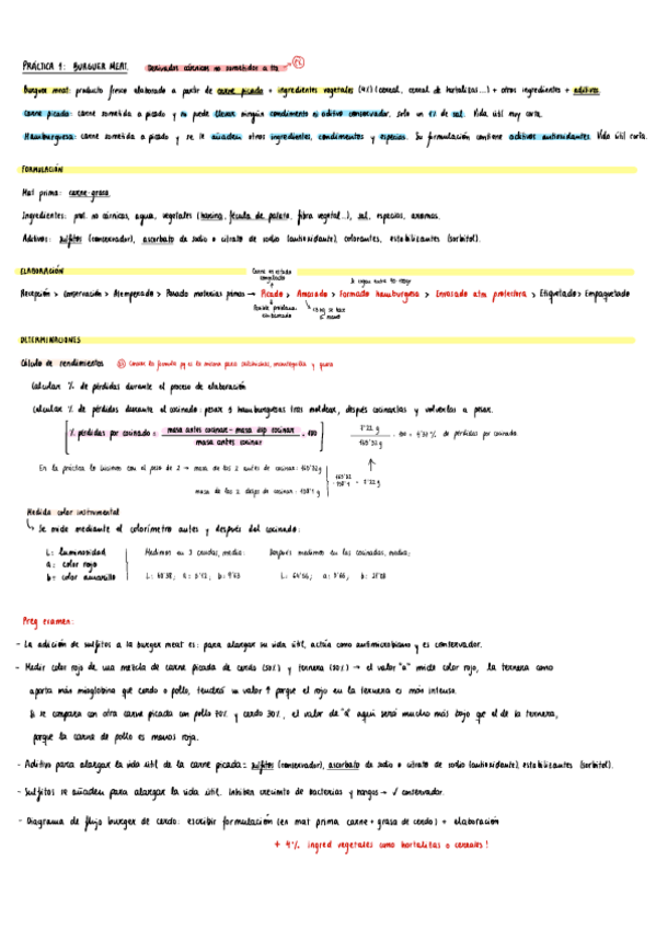 Miniatura del documento Practico-Tecno-II.pdf