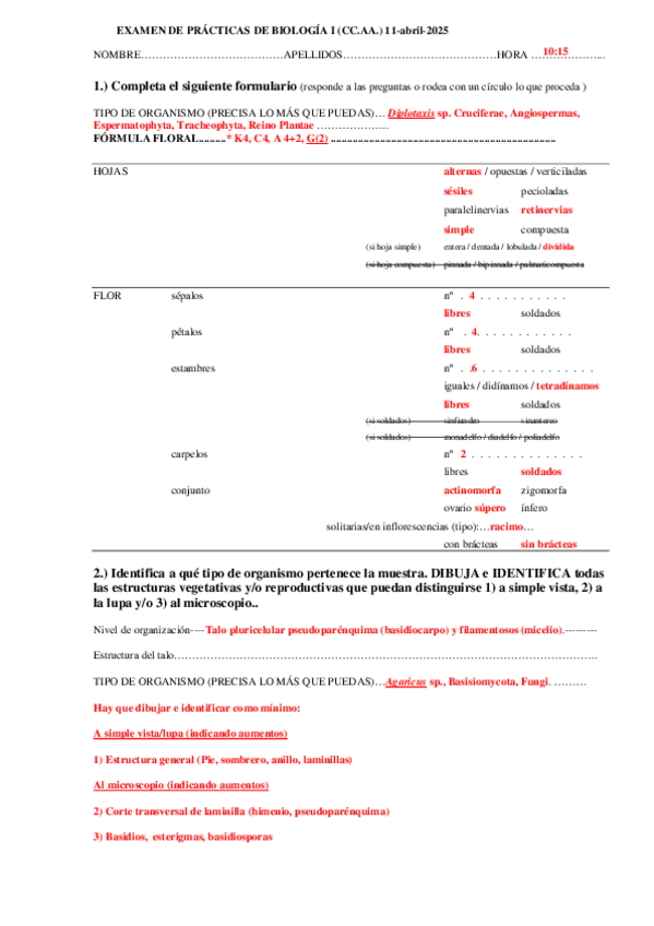Miniatura del documento SOLUCIONESExamen-practicas-Biologia-Iabril2025.pdf