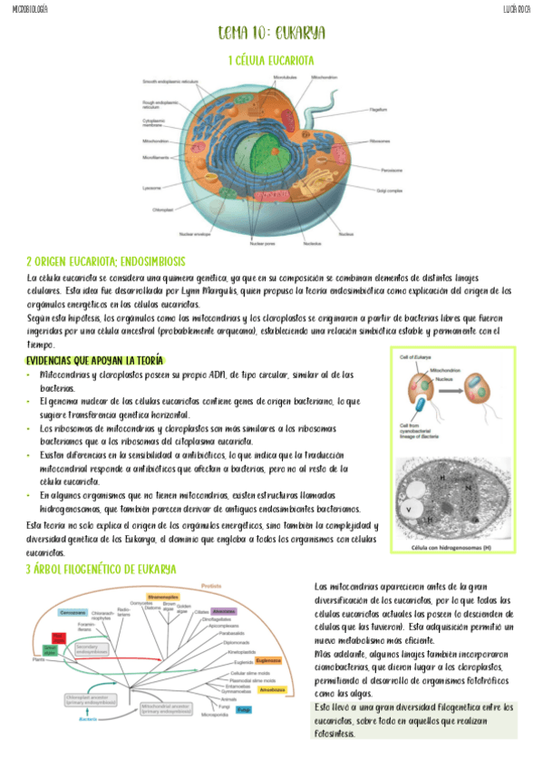 Miniatura del documento tema-10-micro.pdf