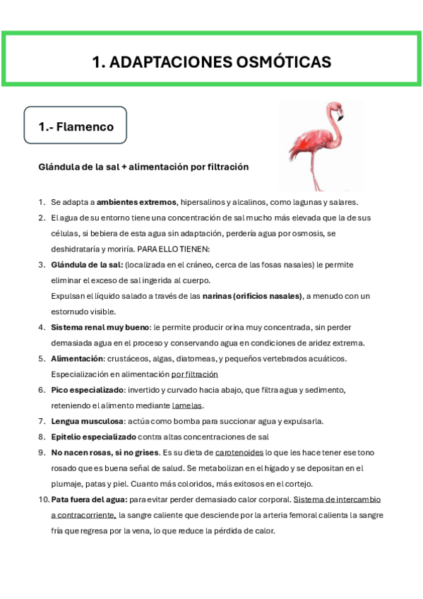 Miniatura del documento resumen-pildoras-ll-parcial.pdf