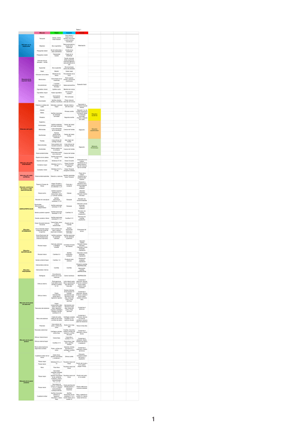 Miniatura del documento Musculos-origen-e-insercion.pdf