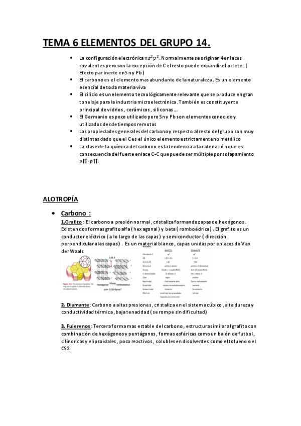 Miniatura del documento TEMA-6-ELEMENTOS-DEL-GRUPO-14.pdf