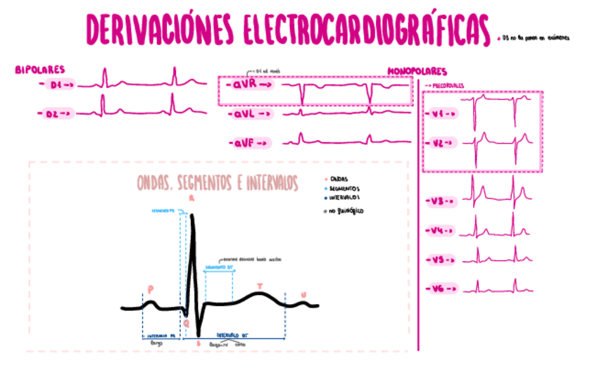 Miniatura del documento Derivaciones-ECG.pdf