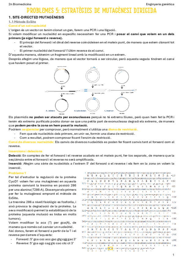 Miniatura del documento P5-Estrategies-de-mutagenesi-dirigida.pdf