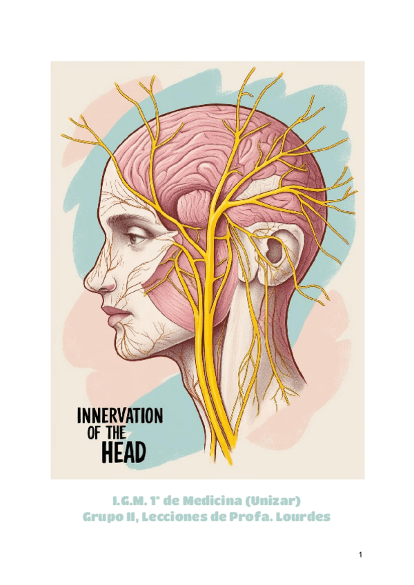 Miniatura del documento INERVACION-DE-LA-CABEZA.pdf