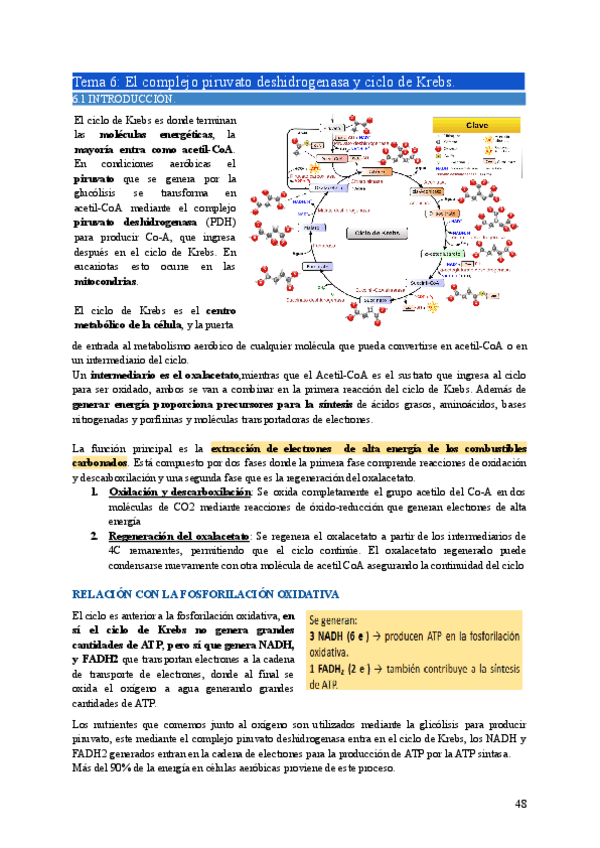 Miniatura del documento BIO2-Tema6.pdf