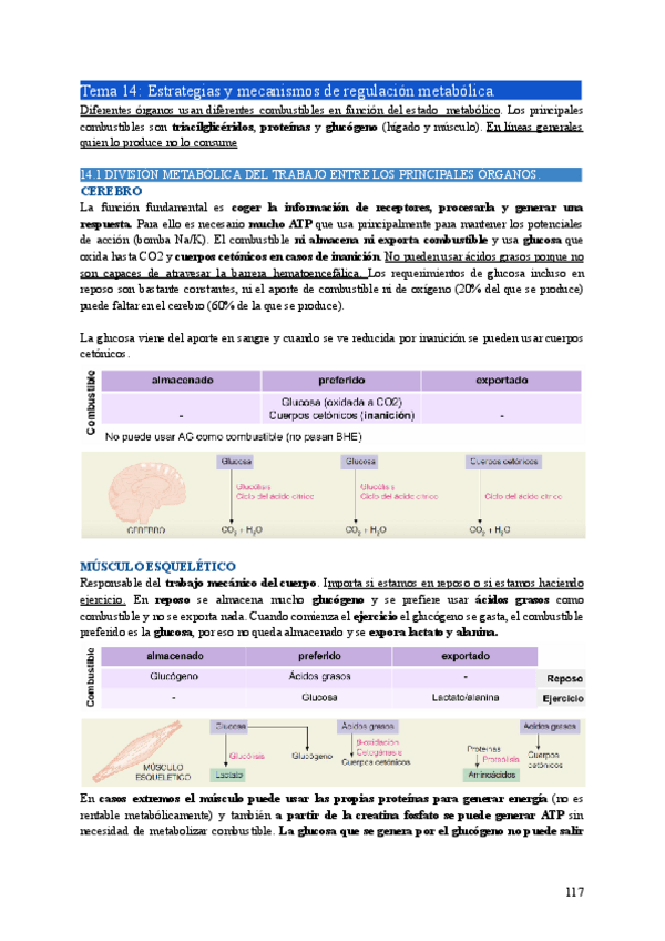 Miniatura del documento BIO2-Tema14.pdf