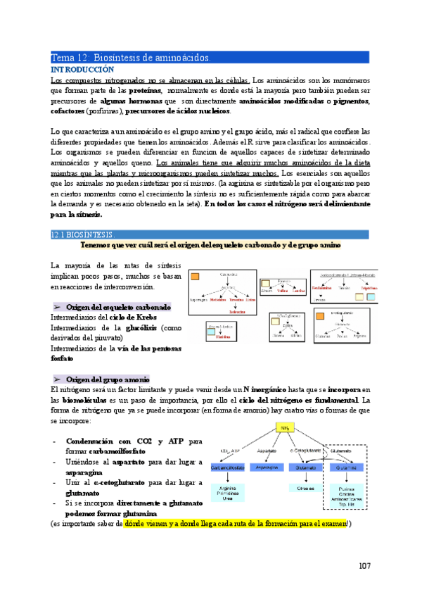 Miniatura del documento BIO2-Tema12.pdf