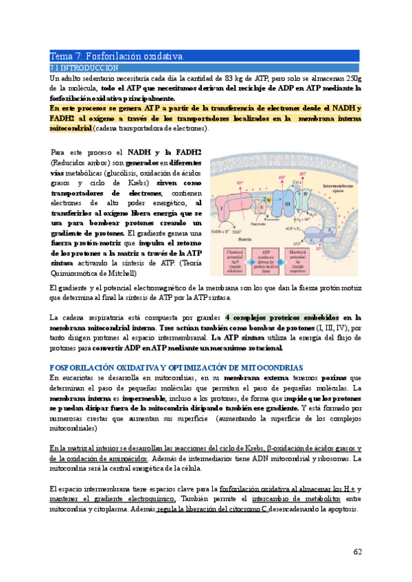 Miniatura del documento BIO2-Tema7.pdf