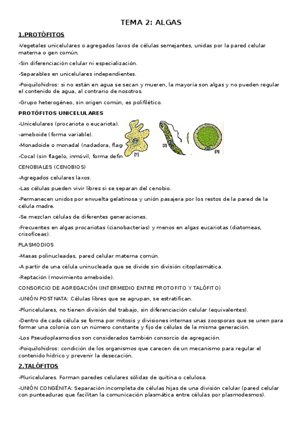 Miniatura del documento TEMA-2-algas-resumido.docx