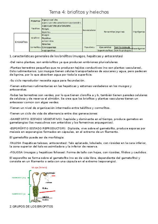 Miniatura del documento Tema-4-resumido.docx