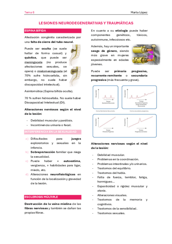 Miniatura del documento T6.-LESIONES-NEURODEGENERATIVAS-Y-TRAUMATICAS.pdf