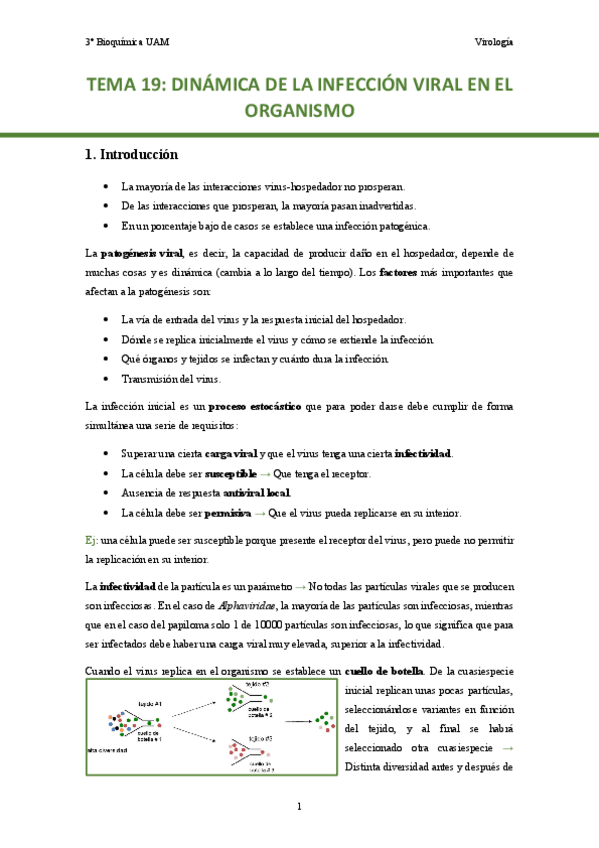 Miniatura del documento TEMA-19.-Dinamica-de-la-infeccion-viral-en-el-organismo..pdf