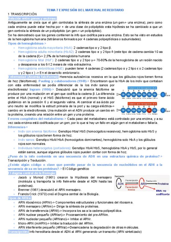 Miniatura del documento TEMA-7-EXPRESION-DEL-MATERIAL-HEREDITARIO.pdf