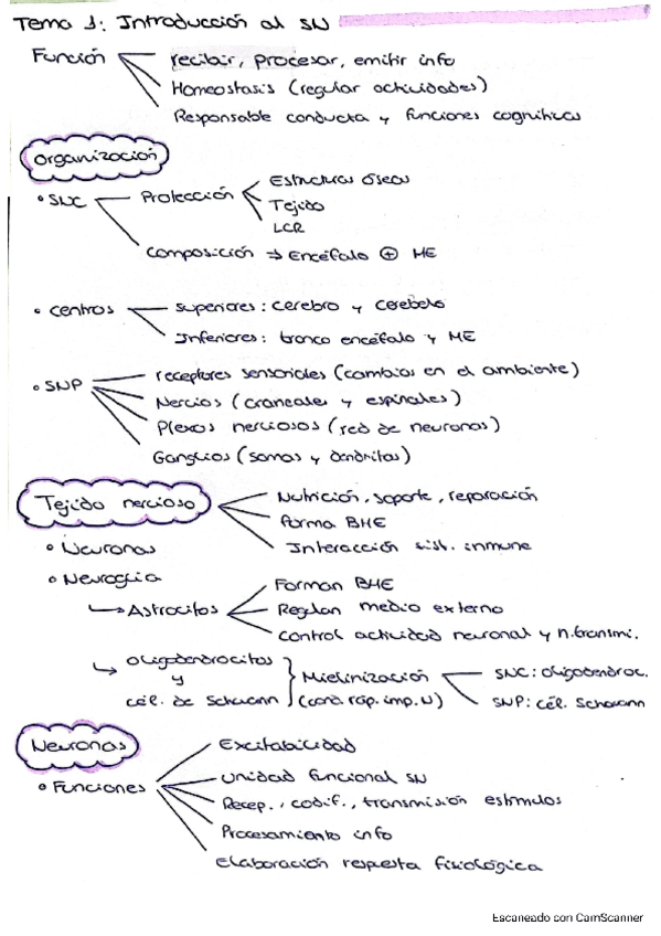 Miniatura del documento Fisiologia-SN-temas-1-4.pdf