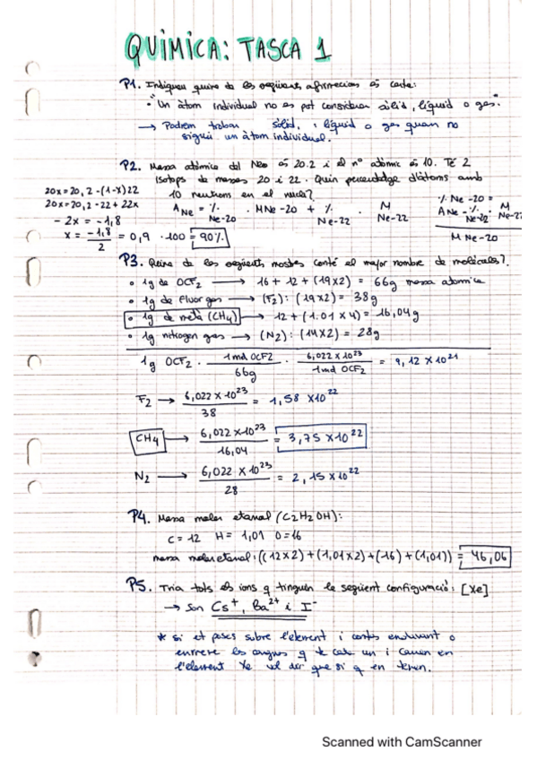 Miniatura del documento TASCA1.pdf