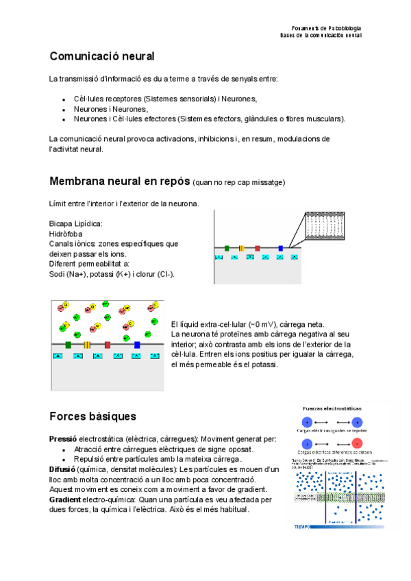 Miniatura del documento Bases-de-la-comunicacio-neural.pdf