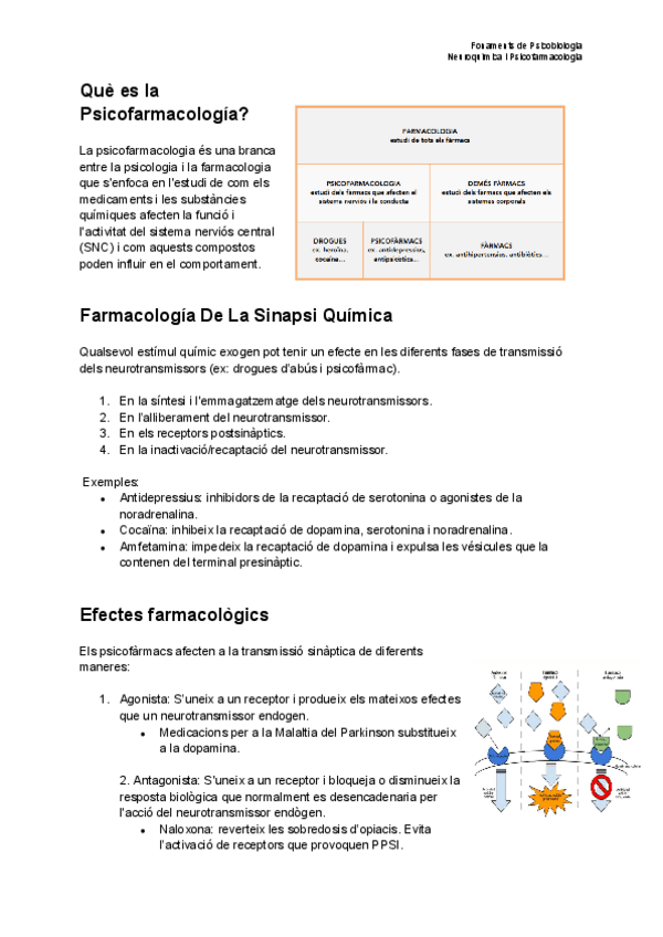 Miniatura del documento Fonaments-de-Psicobiologia-Neuroquimica-i-Psicofarmacologia.pdf