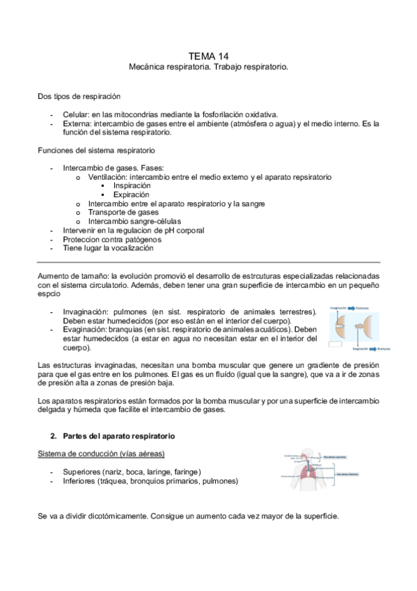 Miniatura del documento tema-14.pdf