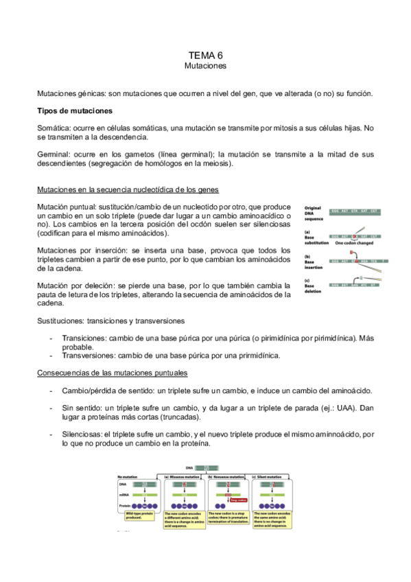 Miniatura del documento tema-6.pdf