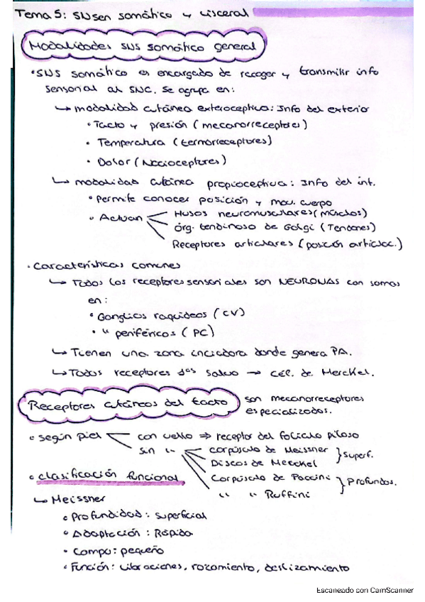 Miniatura del documento fisiologia-SN-temas-5-9.pdf
