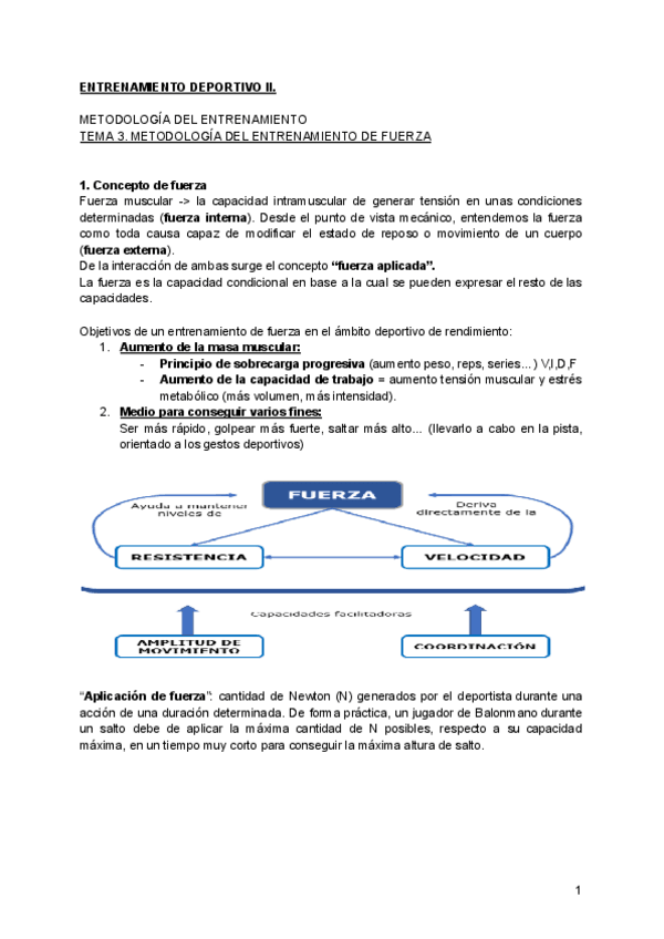 Miniatura del documento Tema-3-Entrenamiento-II.pdf