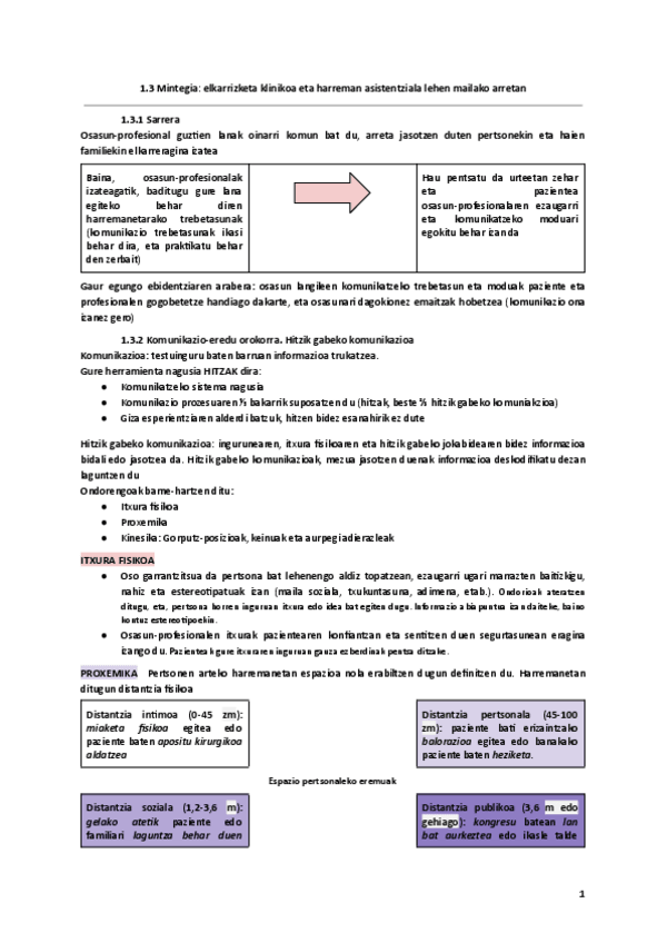 Miniatura del documento 1.3-Mintegia-elkarrizketa-klinikoa-eta-harreman-asistentziala-lehen-mailako-arretan.pdf